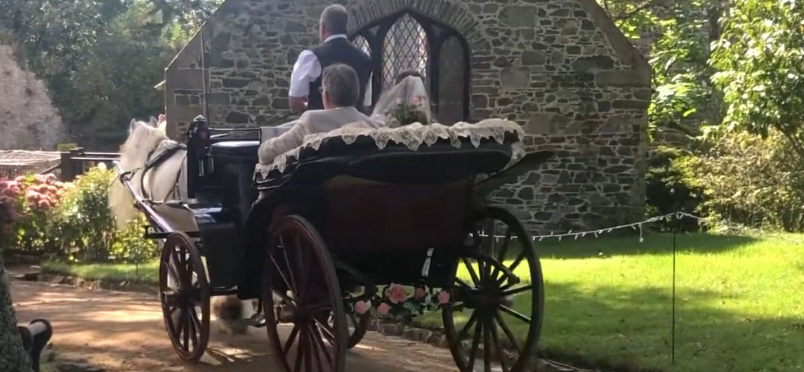 Wedding Carriages